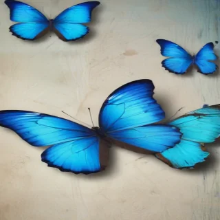 blue butterfly background