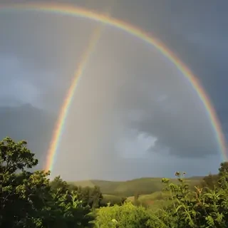 rainbow pictures