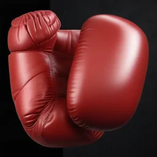 boxing glove png