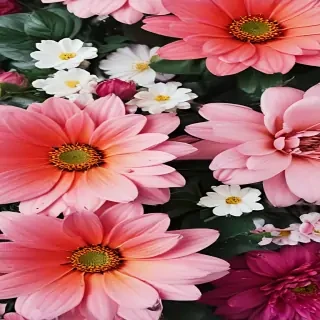 iphone flower background