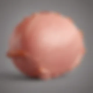 ham png