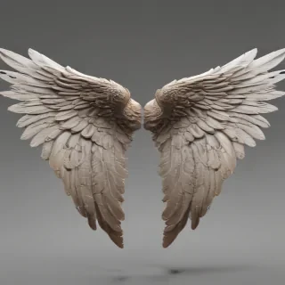angel wings png transparent
