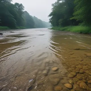 background river