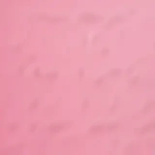 pink plain bg