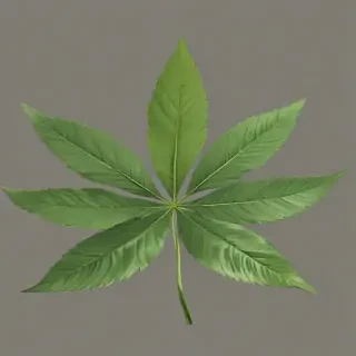 pot leaf png
