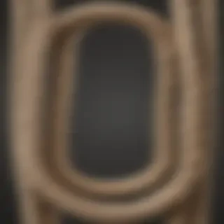 rope png