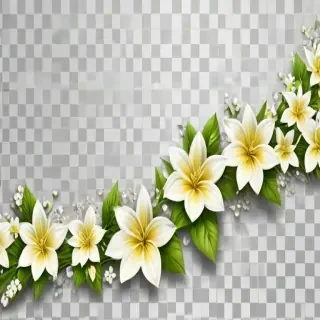 transparent flower border