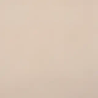 neutral aesthetic wallpaper