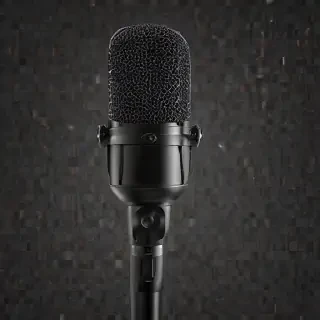 microphone transparent