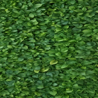 background green leaves