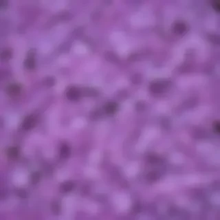 lilac background