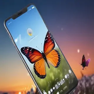 butterfly home screen
