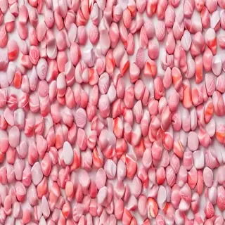 png candy