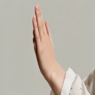 praying hands png transparent