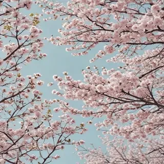 spring aesthetic wallpaper