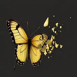 butter fly png