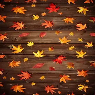 fall wallpaper