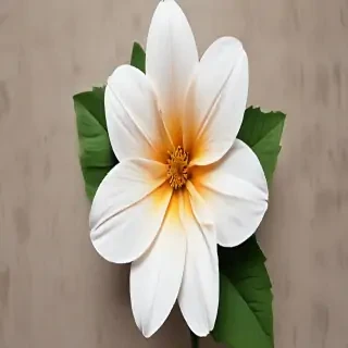 flower pictures to draw