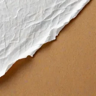 ripped paper texture