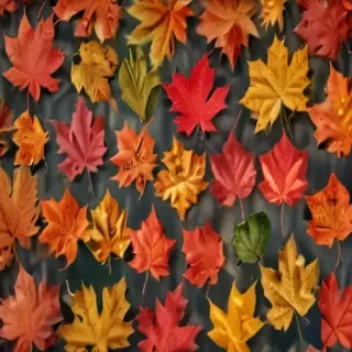 fall leaves