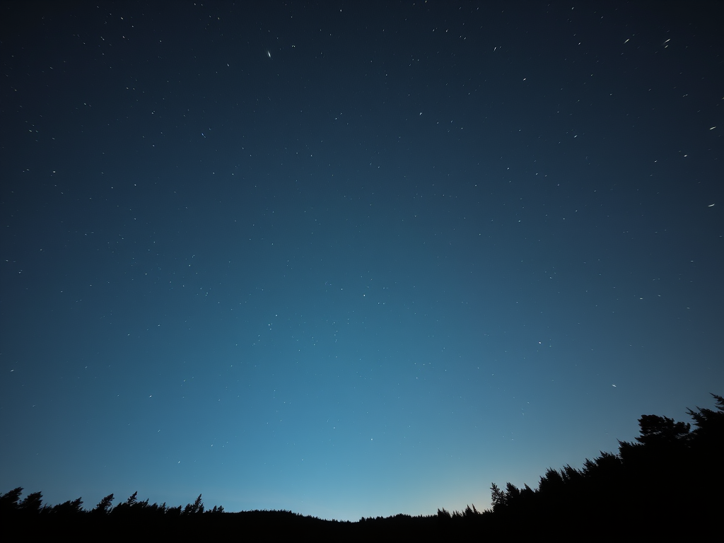 Night sky with stars and silhouettes of trees, captured with a Canon EOS R5, 24mm lens, f/2.8 aperture, ISO 1600, 30-second exposure, landscape view, low angle, enhanced depth of field.