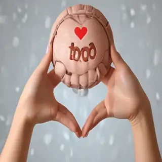 donation png