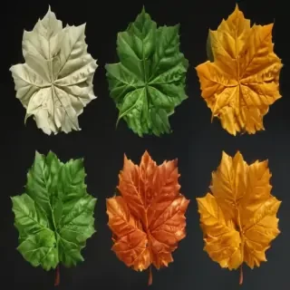 leaves no background
