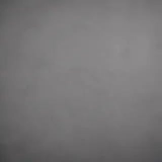 plain grey background