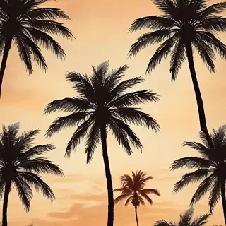 palm tree background