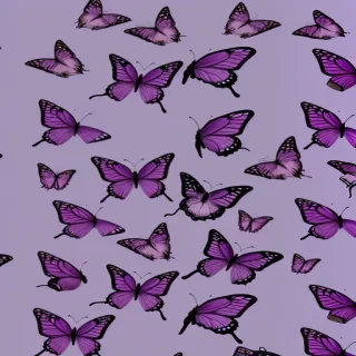 purple wallpapers butterfly