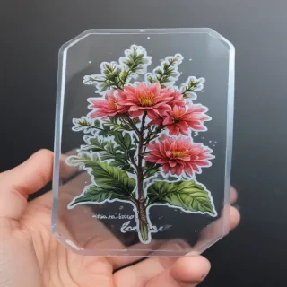 transparent aesthetic sticker