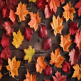iphone fall wallpaper