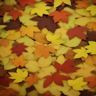 leaves no background