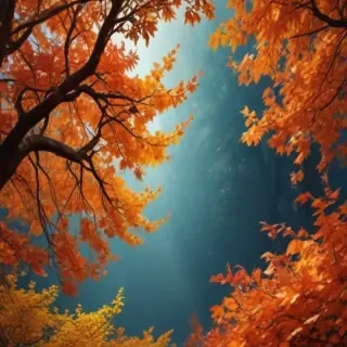 iphone backgrounds fall