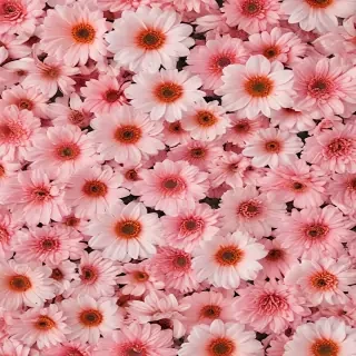 flower background aesthetic