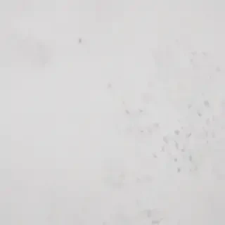 white grey background