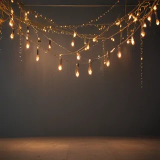 fairy lights png
