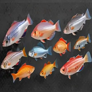 fish transparent background