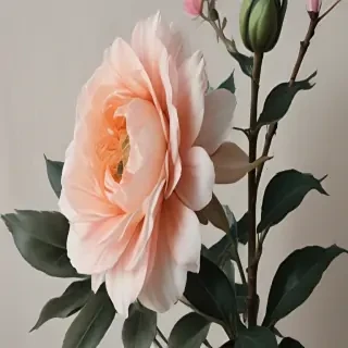 aesthetic flower painting