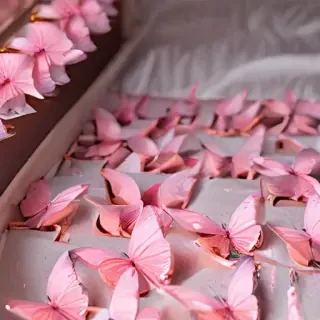 pink butterflies aesthetic