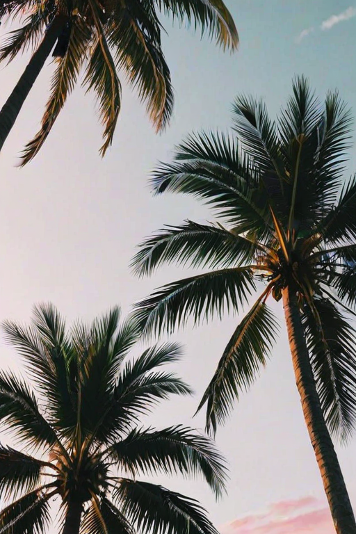 aesthetic palm tree wallpaper