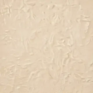 backgrounds cream