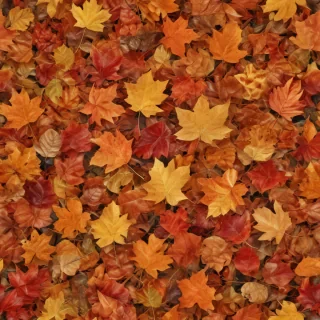 fall leaves aesthetic