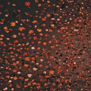 fall aesthetic wallpaper iphone