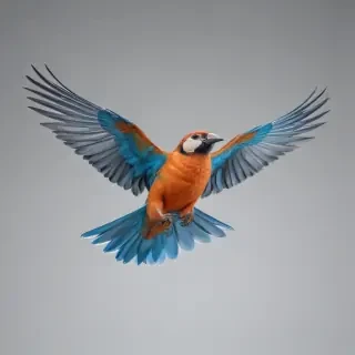 birds flying transparent background