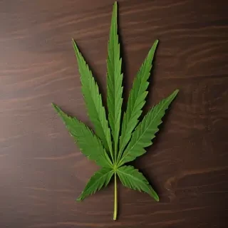 marijuana leaf