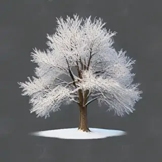 winter tree png