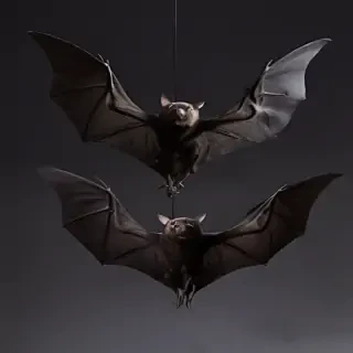 images of bats for halloween