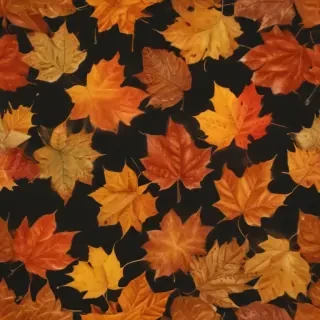 png fall leaves