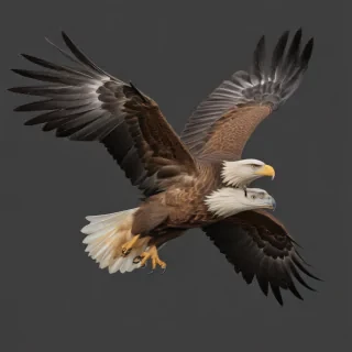 eagle fly png